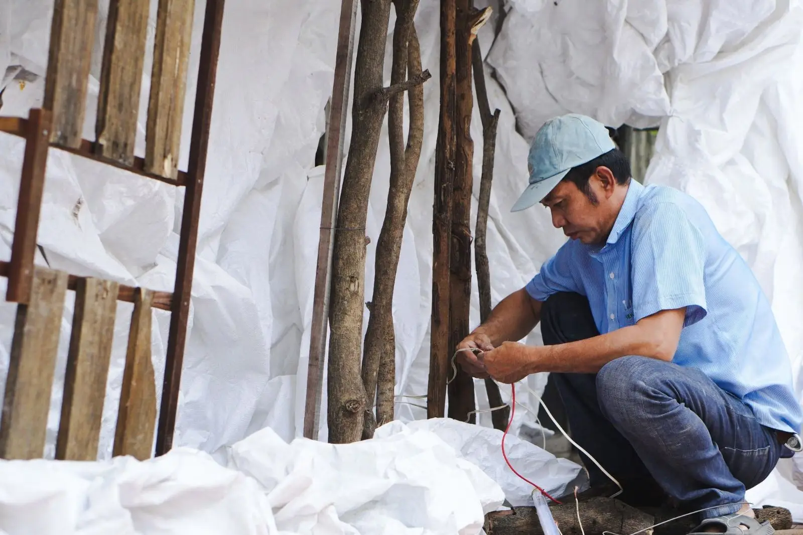 Ban Hành Giáo trang hoàng nhà thờ chuẩn bị đón Giáng Sinh 15 Ban Hành Giáo trang hoàng nhà thờ chuẩn bị đón Giáng Sinh - ảnh 14