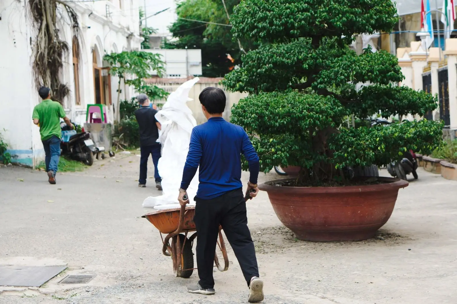 Ban Hành Giáo trang hoàng nhà thờ chuẩn bị đón Giáng Sinh 9 Ban Hành Giáo trang hoàng nhà thờ chuẩn bị đón Giáng Sinh - ảnh 8
