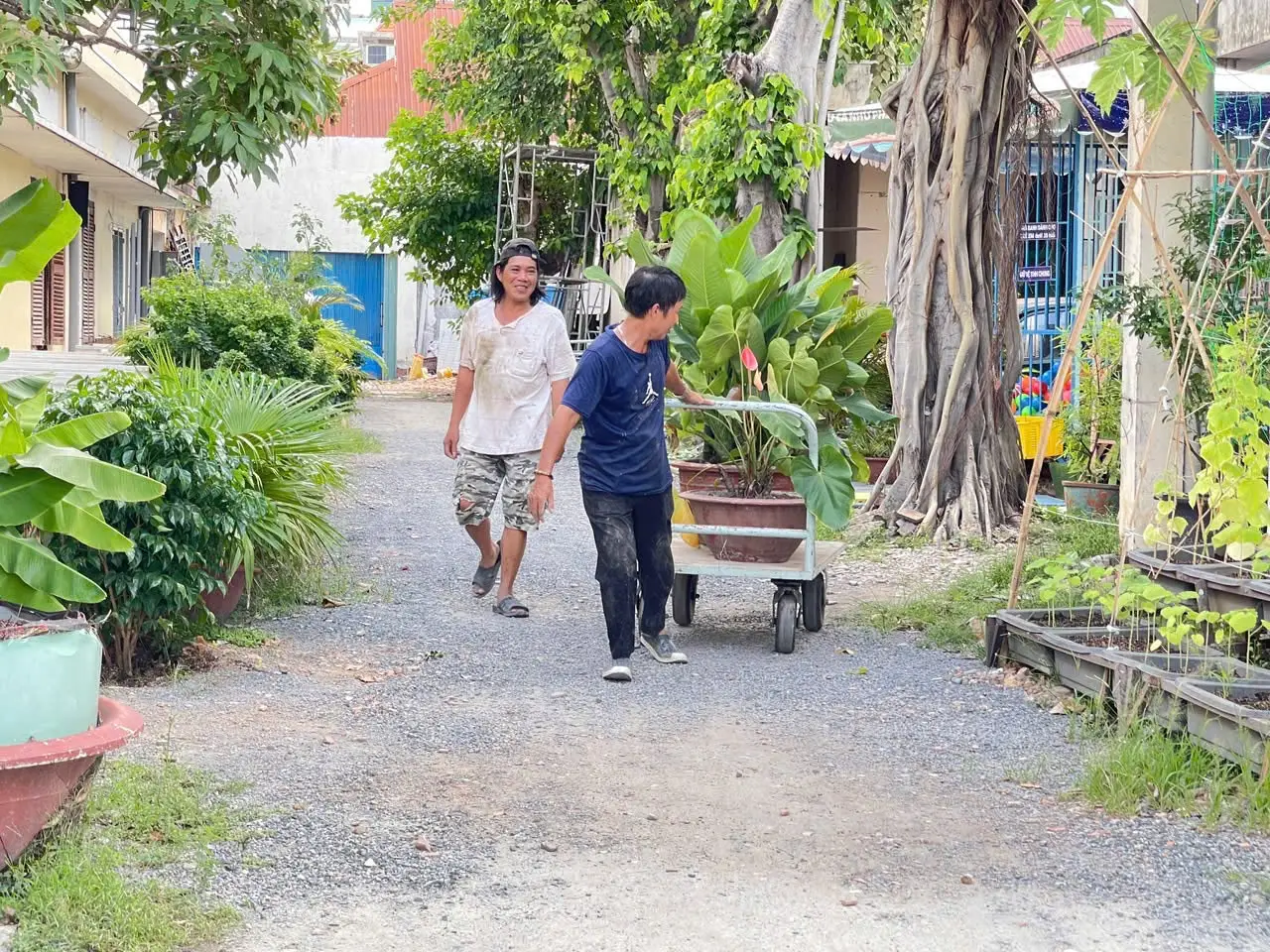 Tạ ơn Chúa vì một công trình thiết thực vừa hoàn thành tại Giáo xứ Thánh Martino 7 Tạ ơn Chúa vì một công trình thiết thực vừa hoàn thành tại Giáo xứ Thánh Martino - ảnh 6