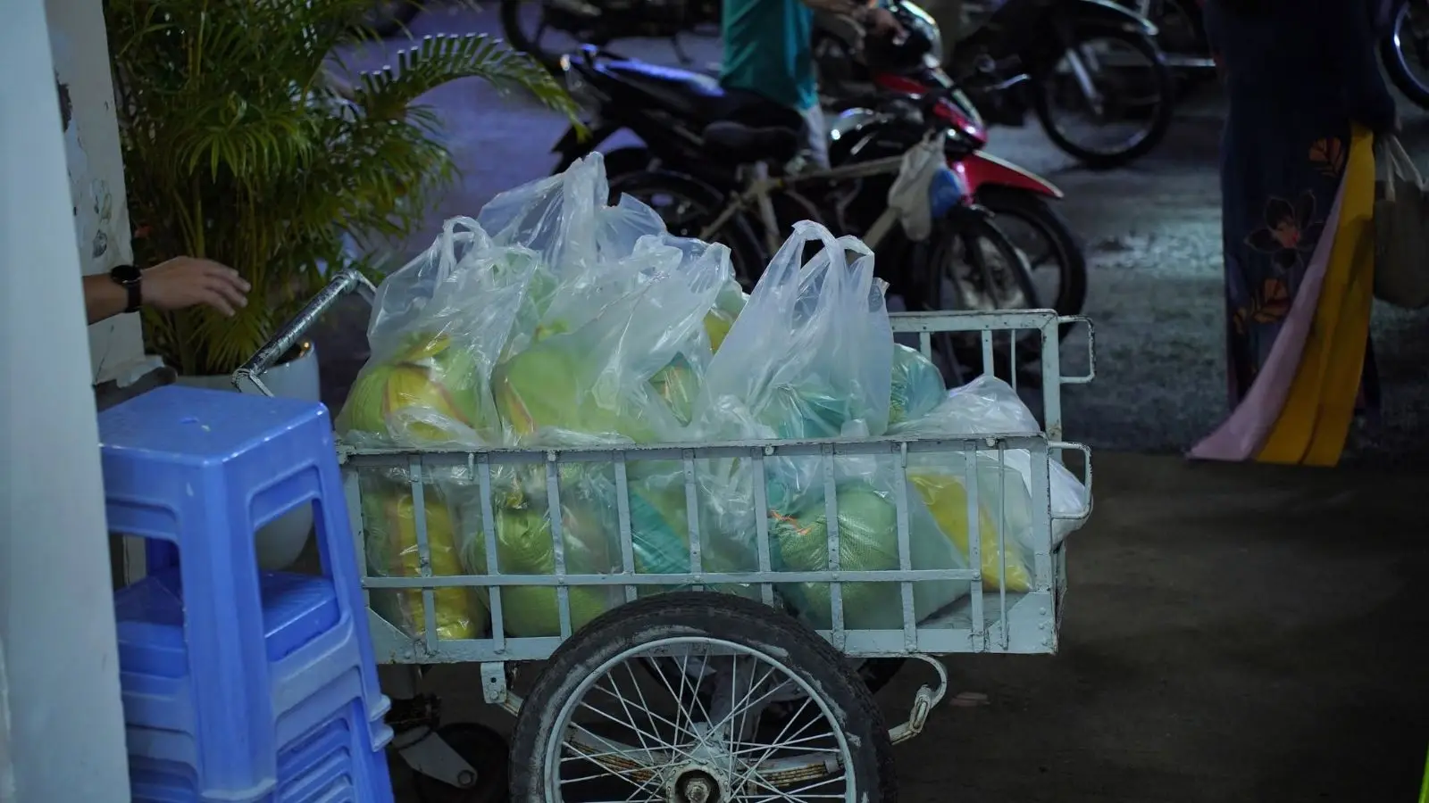 Thánh lễ Khánh Nhật Truyền Giáo tại Giáo xứ Martinô – Hạt Gia Định - ảnh 58