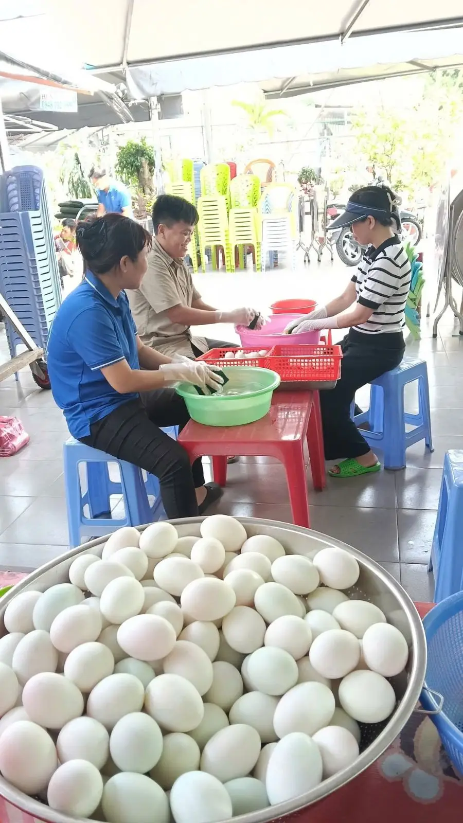 Trứng Phục Sinh – dấu chỉ của sự sống mới do giới trẻ Giáo xứ thực hiện 12 Trứng Phục Sinh – dấu chỉ của sự sống mới do giới trẻ Giáo xứ thực hiện - ảnh 11
