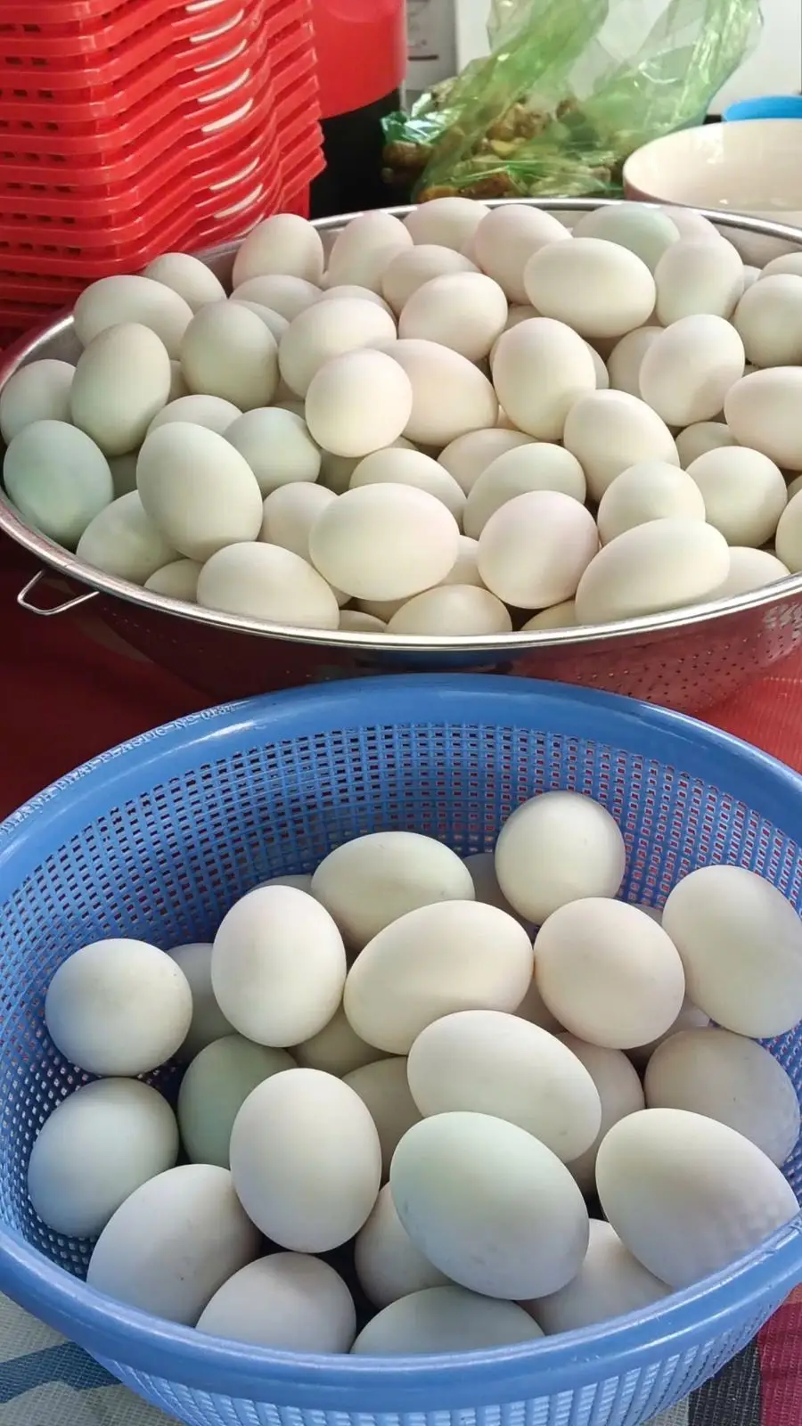 Trứng Phục Sinh – dấu chỉ của sự sống mới do giới trẻ Giáo xứ thực hiện 6 Trứng Phục Sinh – dấu chỉ của sự sống mới do giới trẻ Giáo xứ thực hiện - ảnh 5