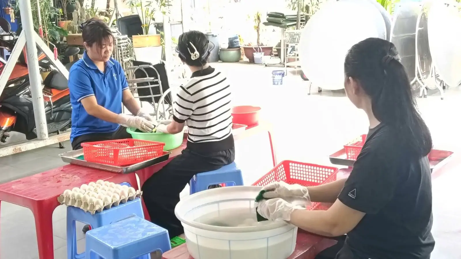 Trứng Phục Sinh – dấu chỉ của sự sống mới do giới trẻ Giáo xứ thực hiện 7 Trứng Phục Sinh – dấu chỉ của sự sống mới do giới trẻ Giáo xứ thực hiện - ảnh 6